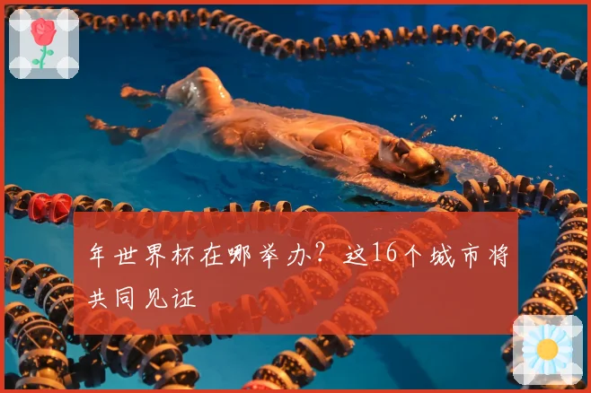 年世界杯在哪举办？这16个城市将共同见证