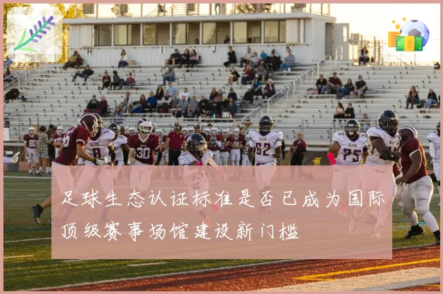 足球生态认证标准是否已成为国际顶级赛事场馆建设新门槛