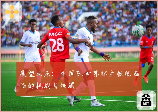 展望未来：中国队世界杯主教练面临的挑战与机遇