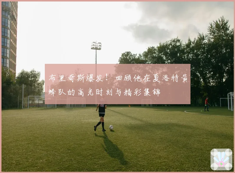 布里奇斯爆发！回顾他在夏洛特黄蜂队的高光时刻与精彩集锦
