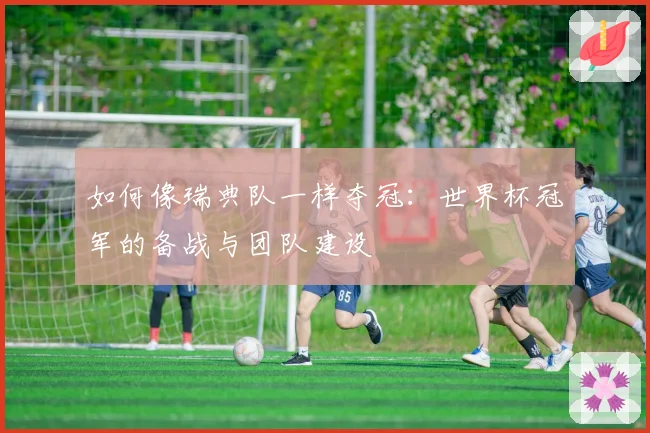 如何像瑞典队一样夺冠:世界杯冠军的备战与团队建设